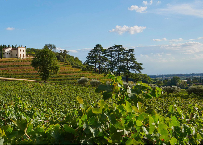 BERTANI